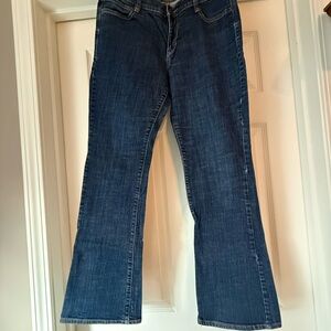 Stylish Blue Flare Women's Jeans